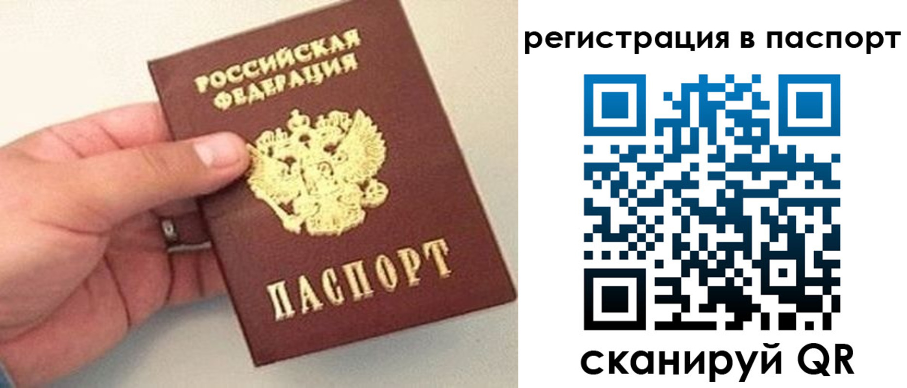 прописка законно в Николаевске-на-Амуре